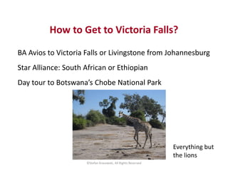 How to Get to Victoria Falls?
BA Avios to Victoria Falls or Livingstone from Johannesburg
Star Alliance: South African or ...