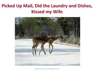 Picked Up Mail, Did the Laundry and Dishes,
Kissed my Wife
©Stefan Krasowski, All Rights Reserved
 