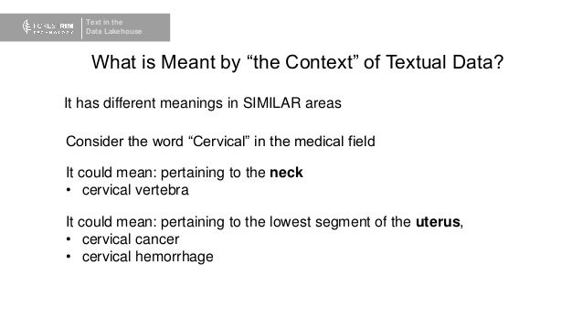Text in the
Data Lakehouse
What is Meant by “the Context” of Textual Data?
It has different meanings in SIMILAR areas
Consider the word “Cervical” in the medical field
It could mean: pertaining to the neck
• cervical vertebra
It could mean: pertaining to the lowest segment of the uterus,
• cervical cancer
• cervical hemorrhage
 