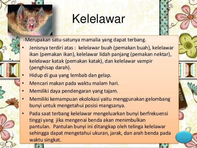 Ciri Khusus Beberapa Hewan dan Tumbuhan/SD kelas 6 by 