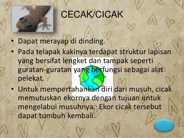 Ciri Khusus Beberapa Hewan Dan Tumbuhan Sd Kelas 6 By Syifadhila