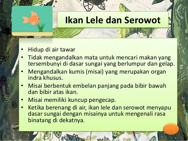  Ciri  Khusus  Beberapa Hewan  dan Tumbuhan SD kelas 6 by 