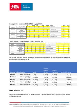 RAPORT Z PLADROWANIA visual data 4