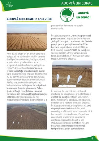 6
ADOPTĂ UN COPAC
ADOPTĂ UN COPAC în anul 2020
Anul 2020 a fost un an dificil, care ne-a
obligat să ne schimbăm felul în care ne
desfășurăm activitatea, însă paradoxal,
acesta a fost și cel mai bun an al
programului de împădurire „Adoptă un
copac!”. Am continuat misiunea de a
crește suprafața împădurită din sudul
țării, însă restricțiile impuse de pandemie
nu au permis desfășurarea obișnuită a
evenimentelor de plantare cu voluntari.
Astfel, toate eforturile echipei s-au
îndreptat către înființarea de noi păduri
în comuna Breasta și comuna Celaru
(județul Dolj), completarea perdelei
forestiere din comuna Dragalina (județul
Călărași), dar și pe găsirea de noi
modalități de implicare a partenerilor și a
persoanelor fizice care ne susțin
demersurile.
În cadrul campaniei „România plantează
pentru mâine”, inițiată de OMV Petrom,
„Adoptă un copac!” a plantat 114.000 de
puieți, pe o suprafață record de 22.4
hectare. În primăvara anului 2020, au
fost plantați primii 12.000 de puieți din
speciile salcâm, ulm și sânger, pe un
teren degradat de 2.1 hectare din satul
Obedin, comuna Breasta.
În sezonul de toamnă am continuat
eforturile de împădurire, prin plantarea a
25.000 de puieți de stejar, ulm, frasin,
corn, mojdrean și sălcioară, pe o parcelă
de teren de 5 hectare din satul Breasta.
În aceeași perioadă, s-au plantat 77.000
de puieți forestieri de salcâm, dud,
corcoduș și sălcioară, pe un teren de 15.3
hectare din comuna Celaru. Copacii vor
contribui la stabilizarea solurilor, la
creșterea rezervelor de apă și vor
îmbunătăți condițiile climatice. Ne-am
bucurat să oferim locuri de muncă
temporare ca zilieri oamenilor din
 