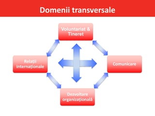 Domenii transversale
Voluntariat &
Tineret
Comunicare
Dezvoltare
organizațională
Relații
internaționale
 