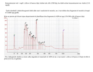 Koncentracioni më i vogël i cifteve të bazave (bp) vërehet tek cifti (1500 bp), ku është arritur koncentracioni me vlerën (2.10
ng/μl).
Tjetër shembull i elektroferogramit është edhe rasti i analizimit të mostrës, me c’rast shihen disa fragmente të mostrës së trupit
të verdhë nga gjedhi.
Këtu ne presim që të kemi sipas eksperimentit të planifikuar disa fragmente të ADN-së nga (138-388) cifte të bazave (bp):
- Por, fatkeqësisht shohim se kemi edhe degradim të materialit të ADN-së me c’rast numri i cifteve të bazave të llojit të tillë të
pritur do të na zvogëlohet.
 