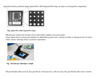 Gjatë këtij ushtrimi, përdoren chipat Agilent DNA 1000 Reagents/DNA chips; që duket si në fotografinë e mëposhtme:
Fig. Agilent DNA 1000 reagents/DNA chips.
Mbushet geli i kaltërt (9μl) në pikën (G) të chipit (këndi i djathtë-vrima tretë poshtë).
Chip-i tanimë futet në sistemin për mbushje, ku shpërndahet geli për rreth 1 minutë, ku shihet se shiringa bie deri në vlerën
4.0mL sistemi i mbushjes duket si në foton e mëposhtme :
Fig. Stacioni për mbushjen e chipit.
Më pas mbushen edhe me (9 μl), Dye gel edhe dy vrimat tjera (G), si dhe me (5μl), Dye gel mbushet edhe vrima e mostrës
 