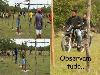 Observam tudo...  