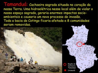 Tamanduá:  Cachoeira sagrada situada no coração da nossa Terra. Uma hidroelétrica nesse local além de violar o nosso espaço sagrado, geraria enormes impactos socio-ambientais e causaria um novo processo de invasão.  Toda a bacia do Cotingo ficaria afetada e 8 comunidades seriam removidas. Uiramutã   Região da Cachoeira Tamanduá   