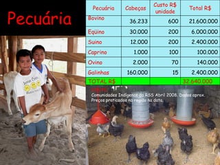 Pecuária  FONTE: Comunidades Indígenas da RSS Abril 2008. Dados aprox. Preços praticados na região na data. Pecuária Cabeças Custo R$ unidade Total R$ Bovino 36.233 600 21.600.000 Eqüino 30.000 200 6.000.000 Suino 12.000 200 2.400.000 Caprino 1.000 100 100.000 Ovino 2.000 70 140.000 Galinhas 160.000 15 2.400.000 TOTAL R$     32.640.000 