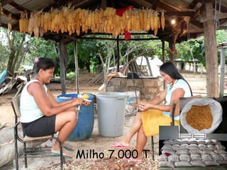 Milho 7.000 T   