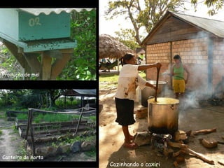 Cozinhando o caxiri Produção de mel Canteiro de horta 