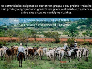 As comunidades indígenas se sustentam graças a seu próprio trabalho. Sua produção agropecuária garante seu próprio alimento e o comércio entre elas e com os municípios vizinhos. FONTE: Comunidades Indígenas da RSS Abril 2008. Dados aprox. Preços praticados na região na data. Valor da produção Pecuária  R$ 32.640.000 Valor da produção Agrícola anual R$ 73.600.000 