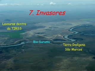 Lavouras dentro da TIRSS Terra Indígena São Marcos  Rio Surumu  7. Invasores  