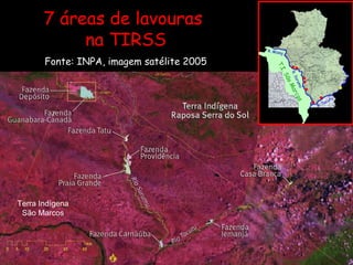 7 áreas de lavouras  na TIRSS Fonte: INPA, imagem satélite 2005 R. Miang T.I. São Marcos R. Surumu R. Tacutu Terra Indígena São Marcos 