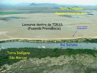 Lavouras dentro da TIRSS (Fazenda Providência) Terra Indígena São Marcos  Rio Surumu  Terra Indígena Raposa Serra do Sol  MATA CILIAR DERRUBADA 