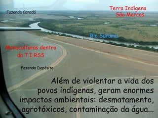 Além de violentar a vida dos povos indígenas, geram enormes impactos ambientais: desmatamento, agrotóxicos, contaminação da água... Monoculturas dentro da T.I RSS Rio Surumu  Terra Indígena São Marcos  Fazenda Depósito Fazenda Canadá 