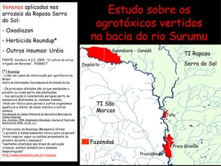 Venenos  aplicados nos arrozais da Raposa Serra  do Sol: Oxadiazon Herbicida Roundup* Outros insumos: Uréia FONTE:  Cordeiro A.C.C. 2005. “O cultivo do arroz irrigado em Roraima”. /FEMACT (*)   Roundup - Líder em casos de intoxicação por agrotóxico no Brasil.  Centro de Informações Toxicológicas do Rio Grande do Sul. - Os principais afetados são os que manipulam o produto ou vivem perto das plantações. - Sua aplicação é considerada perigosa perto de mananciais destinados ao consumo humano;  Pode ser tóxico para peixes e outros organismos aquáticos e afetar de modo indireto a outros animais. Coordenação de Saúde Ambiental da Secretaria Municipal de Saúde-Campinas; Cox, Caroline. 1998. Glyphosate (Roundup). Journal of Pesticide Reform/Fall 1998- vol.18, n 3.  O fabricante do Roundup (Monsanto) afirma: “ o produto é moderadamente tóxico para os peixes”  “ evite respirar vapor ou neblina proveniente do produto durante o manuseio”. “ mantenha afastadas das áreas de aplicação crianças, animais domésticos e pessoas desprotegidas” http://www.monsanto.com.br/roundup Estudo sobre os agrotóxicos vertidos na bacia do rio Surumu TI Raposa Serra do Sol Depósito Tatu Guanabara - Canadá Providência Praia Grande TI São Marcos Fazendas 
