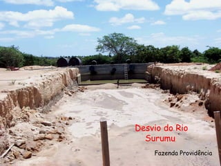 Fazenda Providência Desvio do Rio Surumu  