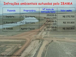 Infrações ambientais autuadas pelo IBAMA Foto: Fazenda Providencia Fazenda Proprietário Nº Auto de Infração/data Valor multa 1. Depósito P.C. Quartiero 253133-D 18 janeiro 2005 R$ 270.700 2. Providência P.C. Quartiero 254036-D 18 janeiro 2005 R$ 331.800 3. Canadá Agenor Faccio 010752-D 21 janeiro 2005 R$ 260.800 