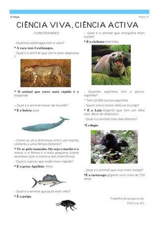 8ª Edição                                                                              Página 29



      CIÊNCIA VIVA, CIÊNCIA ACTIVA
                  CURIOSIDADES                 - Qual é o animal que mergulha mais
                                               fundo?

   - Quantos estômagos tem a vaca?             * É o elefante-marinho.

   * A vaca tem 3 estômagos.
   - Qual é o animal que corre mais depressa
   ?




   * O animal que corre mais rápido é o        - Quantos     espinhos    tem     o   porco-
   leopardo.                                   espinho?
                                               * Tem 32.000 curtos espinhos.
   – Qual é o animal maior do mundo?           - Quem tem o maior olho no mundo?
   * É a baleia-azul.                          * É a Lula-Gigante que tem um olho
                                               com 38cm de diâmetro .
                                               - Qual é o animal mais barulhento?

                                               *É o Bugio.




   - Como se vê a diferença entre um macho
   elefante e uma fêmea elefante?
   * Vê-se pelo tamanho. Ou seja o macho é o
   maior e a fêmea é a mais pequena (como
   acontece com a maioria dos mamíferos).
   - Qual é o peixe que nada mais rápido?
   * É o peixe Agulhão -Vela.
                                               - Qual é o animal que vive mais tempo?
                                               *É a tartaruga-gigante vive mais de 150
                                               anos.



   - Qual é o animal que pula mais alto?
   * É a pulga.
                                                                Trabalho de pesquisa de:
                                                                               Patrícia, 6ºC
 