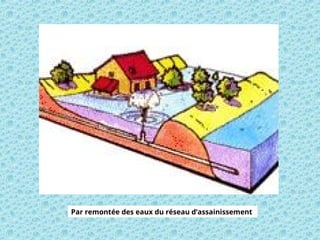 Par remontée des eaux du réseau d’assainissement
 