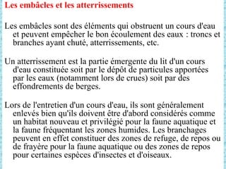 Les embâcles et les atterrissements
Les embâcles sont des éléments qui obstruent un cours d'eau
et peuvent empêcher le bon écoulement des eaux : troncs et
branches ayant chuté, atterrissements, etc.
Un atterrissement est la partie émergente du lit d'un cours
d'eau constituée soit par le dépôt de particules apportées
par les eaux (notamment lors de crues) soit par des
effondrements de berges.
Lors de l'entretien d'un cours d'eau, ils sont généralement
enlevés bien qu'ils doivent être d'abord considérés comme
un habitat nouveau et privilégié pour la faune aquatique et
la faune fréquentant les zones humides. Les branchages
peuvent en effet constituer des zones de refuge, de repos ou
de frayère pour la faune aquatique ou des zones de repos
pour certaines espèces d'insectes et d'oiseaux.
 