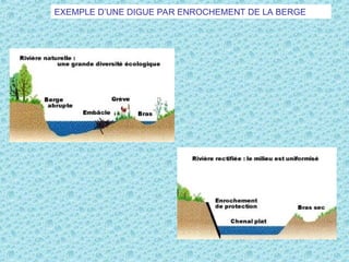 EXEMPLE D’UNE DIGUE PAR ENROCHEMENT DE LA BERGE
 