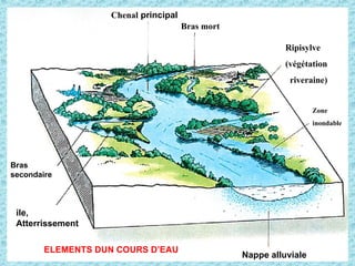 ELEMENTS DUN COURS D’EAU
Chenal principal
Bras mort
Ripisylve
(végétation
riveraine)
Zone
inondable
Bras
secondaire
Nappe alluviale
ile,
Atterrissement
 