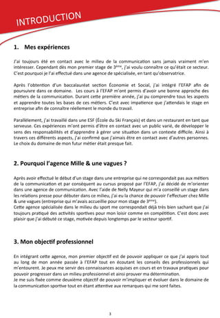 Mon Rapport De Stage Chez Mille Une Vagues