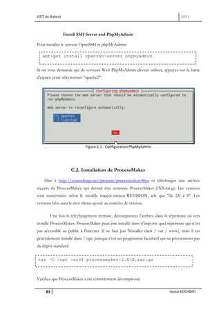 Rapport Pfe 2011 Zimbra