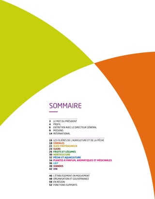 Le rapport d'activité 2015 de FranceAgriMer vient de paraître