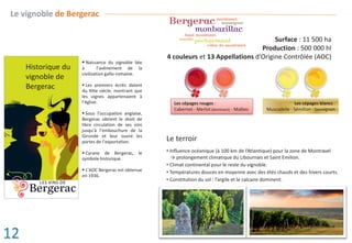 ƒ Naissance du vignoble liée
à l’avènement de la
civilisation gallo-romaine.
ƒ Les premiers écrits datent
du XIIIe siècle, montrant que
les vignes appartenaient à
l’église.
ƒ Sous l’occupation anglaise,
Bergerac obtient le droit de
libre circulation de ses vins
jusqu’à l’embouchure de la
Gironde et leur ouvre les
portes de l’exportation.
ƒ Cyrano de Bergerac, le
symbole historique.
ƒ L’AOC Bergerac est obtenue
en 1936.
Le terroir
‡ Influence océanique (à 100 km de l’Atlantique) pour la zone de Montravel
→ prolongement climatique du Libournais et Saint Emilion.
‡ Climat continental pour le reste du vignoble.
‡ Températures douces en moyenne avec des étés chauds et des hivers courts.
‡ Constitution du sol : l’argile et le calcaire dominent.
Historique du
vignoble de
Bergerac
Le vignoble de Bergerac
Surface : 11 500 ha
Production : 500 000 hl
4 couleurs et 13 Appellations d’Origine Contrôlée (AOC)
Les cépages rouges :
Cabernet - Merlot (dominant) - Malbec
Les cépages blancs :
Muscadelle - Sémillon - Sauvignon
12
 