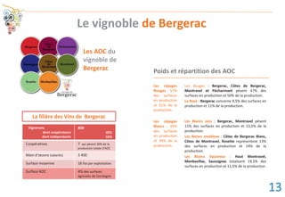 Les AOC du
vignoble de
Bergerac
La filière des Vins de Bergerac
Vignerons
dont coopérateurs
dont indépendants
800
45%
55%
Coopératives 7 qui pèsent 30% de la
production totale d’AOC
Main d’œuvre (salariés) 3 400
Surface moyenne 16 ha par exploitation
Surface AOC 4% des surfaces
agricoles de Dordogne
Le vignoble de Bergerac
Les Rouges : Bergerac, Côtes de Bergerac,
Montravel et Pécharmant pèsent 47% des
surfaces en production et 50% de la production.
Le Rosé : Bergerac concerne 9,5% des surfaces en
production et 11% de la production.
Les Blancs secs : Bergerac, Montravel pèsent
11% des surfaces en production et 13,5% de la
production.
Les Blancs moelleux : Côtes de Bergerac Blanc,
Côtes de Montravel, Rosette représentent 13%
des surfaces en production et 14% de la
production.
Les Blancs liquoreux : Haut Montravel,
Monbazillac, Saussignac totalisent 19,5% des
surfaces en production et 11,5% de la production.
Les cépages
Rouges : 57%
des surfaces
en production
et 61% de la
production.
Les cépages
Blancs : 43%
des surfaces
en production
et 39% de la
production.
Poids et répartition des AOC
----------------------------------------------------------------------------------------------
13
 