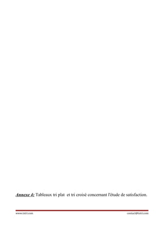 Rapport destagesurtransportinternationaltransitetlogistiquegr…