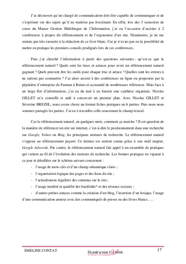 Exemple Rapport De Stage Bts Communication  Le Meilleur Exemple