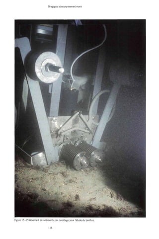 Dragages et environnement marin 
Figure 15 - Prélèvement de sédiments par carottage pour l'étude du benthos. 
116 
 