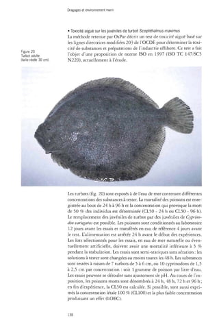 Dragages et environnement marin 
• Toxicité aiguë sur les juvéniles de turbot Scophthalmus maximus 
La méthode retenue par OsPar décrit un test de toxicité aiguë basé sur 
les lignes directrices modifiées 203 de l'OCDE pour déterminer la toxi­cité 
de substances et préparations de l'industrie offshore. Ce test a fait 
Turbot adulte l'objet d'une proposition de norme ISO en 1997 (ISO TC 147/SC5 
(taille réelle 30 cm). N220), actuellement à l'étude. 
Les turbots (fig. 20) sont exposés à de l'eau de mer contenant différentes 
concentrations des substances à tester. La mortalité des poissons est enre­gistrée 
au bout de 24 h à 96 h et la concentration qui provoque la mort 
de 50 % des individus est déterminée (CL50 - 24 h ou CL50 - 96 h). 
Le remplacement des juvéniles de turbot par des juvéniles de Cyprino-don 
variegatus est possible. Les poissons sont conditionnés au laboratoire 
12 jours avant les essais et transférés en eau de référence 4 jours avant 
le test. L'alimentation est arrêtée 24 h avant le début des expériences. 
Les lots sélectionnés pour les essais, en eau de mer naturelle ou éven­tuellement 
artificielle, doivent avoir une mortalité inférieure à 5 % 
pendant la stabulation. Les essais sont semi-statiques sans aération : les 
solutions à tester sont changées au moins toutes les 48 h. Les substances 
sont testées à raison de 7 turbots de 5 à 6 cm, ou 10 cyprinodons de 1,5 
à 2,5 cm par concentration : soit 1 gramme de poisson par litre d'eau. 
Les essais peuvent se dérouler sans ajustement de pH. Au cours de l'ex­position, 
les poissons morts sont dénombrés à 24 h, 48 h, 72 h et 96 h ; 
en fin d'expérience, la CL50 est calculée. Si possible, sont aussi expri­més 
la concentration létale 100 % (CL100) et la plus faible concentration 
produisant un effet (LOEC). 
138 
 
