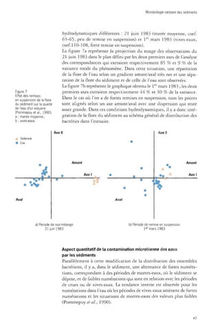 Microbiologie sanitaire des sédiments 
Figure 7 
Effet des remises 
en suspension de la flore 
du sédiment sur la qualité 
de l'eau d'un estuaire 
(Pommepuy étal., 1990). 
a : marée moyenne; 
b : vives-eaux. 
hydrodynamiques différentes : 21 juin 1983 (marée moyenne, coef. 
63-65, peu de remise en suspension) et 1er mars 1983 (vives-eaux, 
coef.l 10-108, forte remise en suspension). 
La figure 7a représente la projection du nuage des observations du 
21 juin 1983 dans le plan défini par les deux premiers axes de l'analyse 
des correspondances qui extraient respectivement 85 % et 9 % de la 
variance totale du phénomène. Dans cette situation, une répartition 
de la flore de l'eau selon un gradient amont/aval très net et une sépa­ration 
de la flore du sédiment et de celle de l'eau sont observées. 
La figure 7b représente le graphique obtenu le 1er mars 1983 ; les deux 
premiers axes extraient respectivement 44 % et 30 % de la variance. 
Dans le cas où l'on a de fortes remises en suspension, tous les points 
sont alignés selon un axe amont/aval avec une dispersion qui reste 
assez grande. Dans ces conditions hydrodynamiques, il y a donc inté­gration 
de la flore du sédiment au schéma général de distribution des 
bactéries dans l'estuaire. 
à Sédiment 
• Eau 
• 
Aval 
• • 
•.S.£' 
Axe II 
• 
• 
Amont 
Axe 1 
Aval 
Axe II 
Amont 
Axe I 
% 
a) Période de non-mélange 
21 juin 1983 
b) Période de remise en suspension 
1er mars 1983 
Aspect quantitatif de la contamination microbienne des eaux 
par les sédiments 
Parallèlement à cette modification de la distribution des ensembles 
bactériens, il y a, dans le sédiment, une alternance de fortes numéra­tions, 
correspondant à des périodes de mortes-eaux, où le sédiment se 
dépose, et de faibles numérations qui sont en relation avec les périodes 
de crues ou de vives-eaux. La tendance inverse est observée pour les 
numérations dans l'eau où les périodes de vives-eaux amènent de fortes 
numérations et les situations de mortes-eaux des valeurs plus faibles 
(Pommepuy et al, 1990). 
47 
 