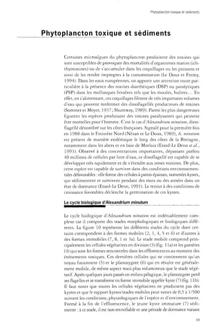 Phytoplancton toxique et sédiments 
Phytoplancton toxique et sédiments 
Certaines microalgues du phytoplancton produisent des toxines qui 
sont susceptibles de provoquer des mortalités d'organismes marins (ich-thyotoxines) 
ou de s'accumuler dans les coquillages ou les poissons et 
ainsi de les rendre impropres à la consommation (Le Doux et Fremy, 
1994). Dans les eaux européennes, on apporte une attention toute par­ticulière 
à la présence des toxines diarrhéiques (DSP) ou paralytiques 
(PSP) dans les mollusques bivalves tels que les moules, huîtres... En 
effet, en s'alimentant, ces coquillages filtrent de très importants volumes 
d'eau qui peuvent renfermer des dinoflagellés producteurs de toxines 
(Sommer et Meyer, 1937 ; Shumway, 1989). Parmi les plus dangereuses 
figurent les espèces produisant des toxines paralysantes qui peuvent 
être mortelles pour l'homme. C'est le cas à'Alexandrium minutum, dino-flagellé 
dénombré sur les côtes françaises. Signalé pour la première fois 
en 1988 dans le Finistère Nord (Nézan et Le Doux, 1989), A. minutum 
est présent de manière endémique le long des côtes de la Bretagne, 
notamment dans les abers et en baie de Morlaix (Erard-Le Denn et al., 
1993). Observé à des concentrations importantes, dépassant parfois 
40 millions de cellules par litre d'eau, ce dinoflagellé est capable de se 
développer très rapidement et de s'étendre aux zones voisines. De plus, 
cette espèce est capable de survivre dans des conditions environnemen­tales 
défavorables : elle forme des cellules à parois épaisses, nommées kystes, 
qui sédimentent et survivent pendant des mois ou des années dans un 
état de dormance (Erard-Le Denn, 1991). Le retour à des conditions de 
croissance favorables déclenche la germination de ces kystes. 
Le cycle biologique d'Alexandrium minutum 
Le cycle biologique d'Alexandrium minutum est indéniablement com­plexe 
car il comporte des stades morphologiques et biologiques diffé­rents. 
La figure 10 représente les différents stades du cycle dont cer­tains 
correspondent à des formes mobiles (2, 3, 4, 5 et 6) et d'autres à 
des formes immobiles (7,8, 1 et 3a). Le stade mobile comprend prin­cipalement 
les cellules végétatives en division (3) (fig. 1 la) et les gamètes 
(4) qui sont les formes rencontrées dans les efflorescences au moment des 
événements toxiques. Ces dernières cellules qui ne contiennent qu'un 
noyau fusionnent (5) et le planozygote (6) qui en résulte est générale­ment 
mobile, de même aspect mais plus volumineux que le stade végé­tatif. 
Après quelques jours passés en milieu pélagique, le planozygote perd 
ses flagelles et se transforme en forme immobile appelée kyste (7) (fig. lib). 
Il faut noter que toutes les cellules végétatives ne produisent pas des 
kystes et que le rapport kystes/stades mobiles peut varier de 0,5 à 1/500 
suivant les conditions, physiologiques de l'espèce et d'environnement. 
Formé à la fin de l'efflorescence, le jeune kyste immature (7) sédi-mente 
: à ce stade, il est non revivifiable et une période de dormance variant 
59 
 