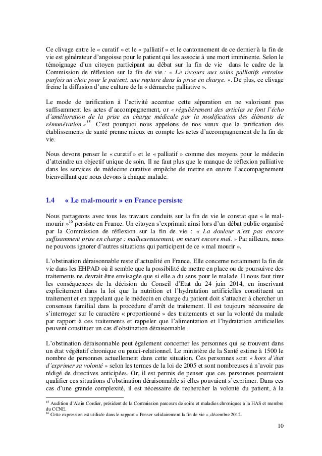 Rapport sur la fin de vie - Alain Claeys et Jean Leonetti 