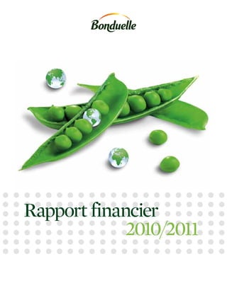 Rapport financier
             2010/2011
 