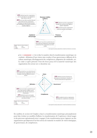 231 
Le « comment » c’est-à-dire la manière dont la transformation numérique est 
conduite : définition d’une vision, mise en place d’une gouvernance, diffusion de la 
culture numérique, développement des compétences, adaptation des méthodes, etc. 
Le radar ci-après présente l’état des lieux perçu de la maturité numérique des 
organisations du secteur sur ce deuxième axe. 
En synthèse, le secteur de l’emploi a lancé sa transformation numérique principalement 
pour faire évoluer ses modèles d’affaires. La transformation de l’expérience client/usager 
et des processus opérationnels reste à engager. Cette transformation peut s’appuyer sur des 
organisations qui disposent d’un bon niveau de maturité en matière de vision stratégique, 
de gouvernance, de compétences. 
 