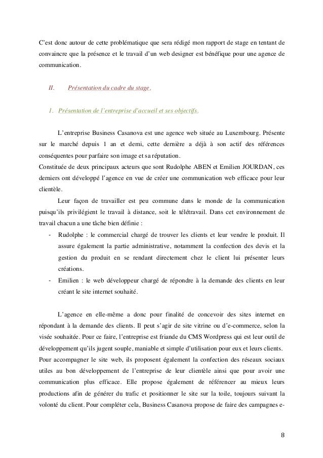 Rapport problématisé de stage  penser l'ergonomie et l'expérience