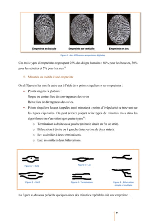 Figure 2 - Les différentes empreintes digitales


Ces trois types d’empreintes regroupent 95% des doigts humains : 60% pour les boucles, 30%
pour les spirales et 5% pour les arcs.ii
       s

    5. Minuties ou motifs d’une empreinte

On différencie les motifs entre eux à l'aide de « points singuliers » sur empreintes :
    •     Points singuliers globaux :
          Noyau ou centre: lieu de convergences des stries
          Delta: lieu de divergences des stries.
    •     Points singuliers locaux (appelés aussi minuties) : points d’irrégularité se trou
                                                                                       trouvant sur
          les lignes capillaires. O peut relever jusqu'à seize types de minuties mais dans les
                                  On
          algorithmes on n'en retient que quatre typesiii:
                o Terminaison à droite ou à gauche (minutie située en fin de strie).
                o Bifurcation à droite ou à gauche (intersection de deux stries).
                o île : assimilée à deux terminaisons.
                o Lac: assimilée à deux bifurcations.




     Figure 7 – îlot1                                   Figure 6 - Lac




        Figure 5 – îlot2                        Figure 4 - Terminaison                  Figure 3 - Bifurcation
                                                                                         simple et multiple



La figure ci-dessous présente quelques
             dessous          quelques-unes des minuties repérables sur une empreinte :




                                                                                          7
 