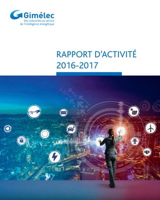 RAPPORT D’ACTIVITÉ
2016-2017
 