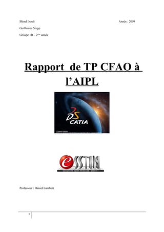 Rapport Aipl Izouli Stupp