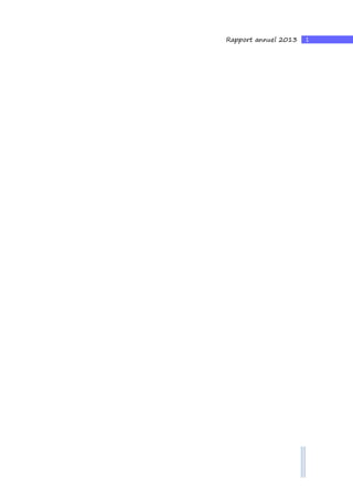 1Rapport annuel 2013
 