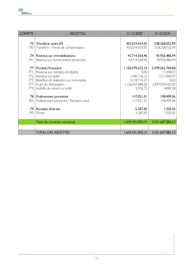 30
COMPTE RECETTES 31.12.2020 31.12.2019
73
730
74
741
77
771
772
775
777
779
78
785
79
799
Transferts entre ISS
Transfert...