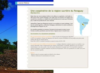 40.
Autres filières
Une coopérative de la région sucrière du Paraguay
Manduvira
Située dans une zone de plaines fertiles e...